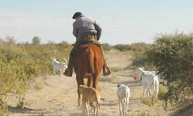 Habrá que esperar la resolución de la Comisión Nacional de Trabajo Agrario.