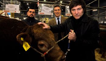 Fuerte reclamo al Gobierno: "El campo argentino necesita reglas claras, previsibilidad y una Argentina sin retenciones"