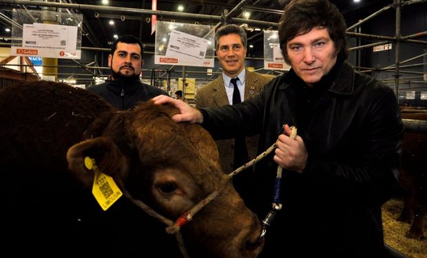 Fuerte reclamo al Gobierno: "El campo argentino necesita reglas claras, previsibilidad y una Argentina sin retenciones"