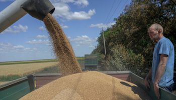 Rusia manda a los productores a la guerra y el trigo responde con subas en Chicago