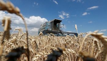 Ucrania quiere reanudar exportaciones, pero Rusia se apoderó de las cosechas en Kherson