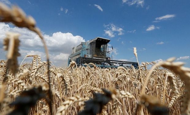 Ucrania quiere reanudar exportaciones, pero Rusia se apoderó de las cosechas en Kherson