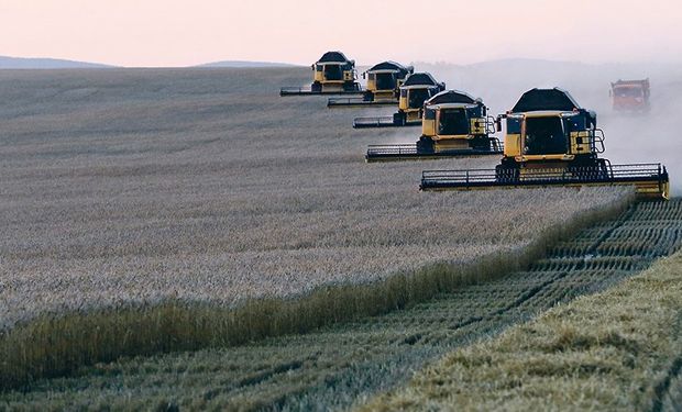 ¿Agenda de rivalidad? Brasil compró 60.000 toneladas de trigo ruso y habría dos cargamentos similares ya pactados