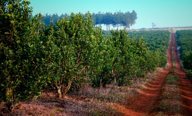 Misiones: Nación invertirá fondos para electrificar zonas rurales y sumar equipamiento para el manejo de incendios