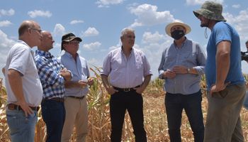 Sequía: la Comisión Nacional de Emergencias y Desastre Agropecuario analiza el pedido de las provincias