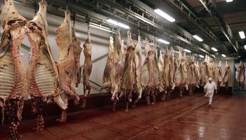 Se exportaron durante abril 24 mil toneladas de carnes bovinas