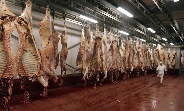 En los primeros cuatro meses de 2018 se exportaron 143 mil toneladas peso res, un 57% más que en el mismo lapso del año anterior.