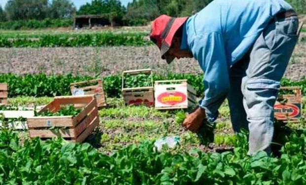 Productores cooperativos advierten: "Ya hay signos de ruptura en la cadena de pagos"