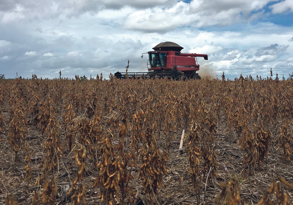 noticiaspuertosantacruz.com.ar - Imagen extraida de: https://news.agrofy.com.ar/noticia/212211/agro-argentino-se-pone-firme-frente-reglamentacion-antideforestacion-union-europea