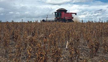 El agro argentino se pone firme frente a la reglamentación antideforestación de la Unión Europea: "Afecta a nuestra soberanía nacional"