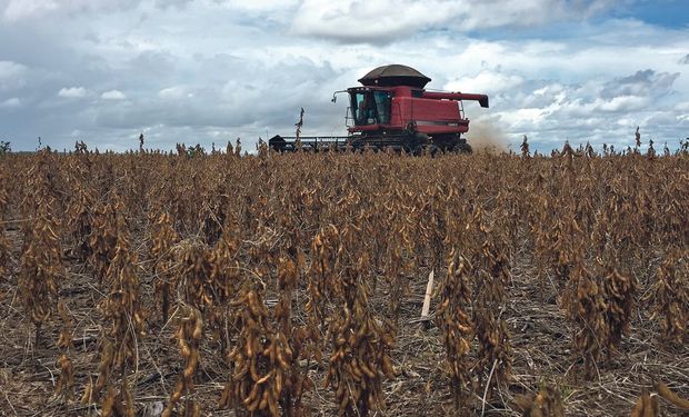 El agro argentino se pone firme frente a la reglamentación antideforestación de la Unión Europea: "Afecta a nuestra soberanía nacional"