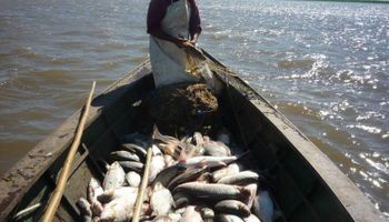 El Gobierno cerró la exportación de siete especies de pescados