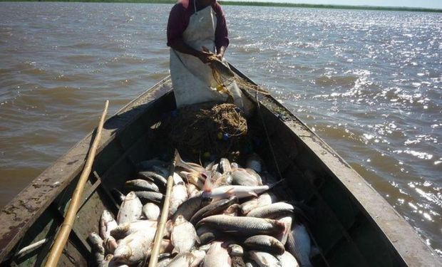 El Gobierno cerró la exportación de siete especies de pescados