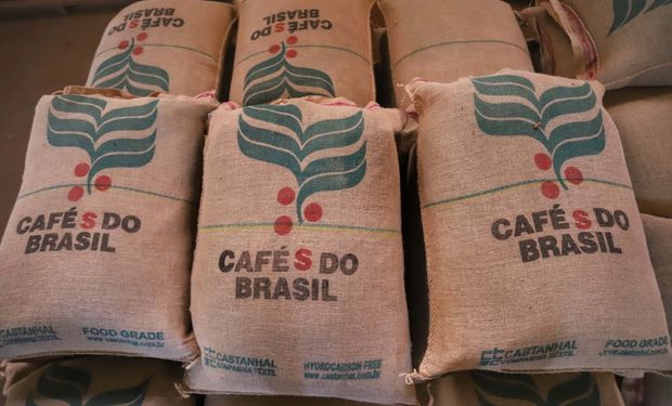 Apesar das dificuldades, o Brasil bateu recorde anual de exportação de café, alcançando 46,4 milhões de sacas até novembro. (Foto: José Fernando Ogura/Arquivo AEN)