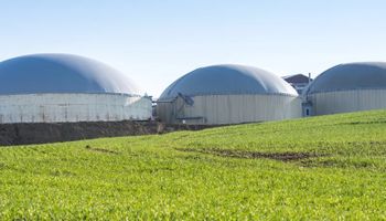 Oportunidad en el agro: la firma argentina que avanza en el mercado europeo de biocombustibles