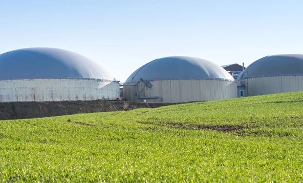 Oportunidad en el agro: la firma argentina que avanza en el mercado europeo de biocombustibles