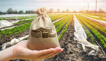 Fazenda faz ajuste na distribuição de limites equalizáveis do Plano Safra 2022/2023