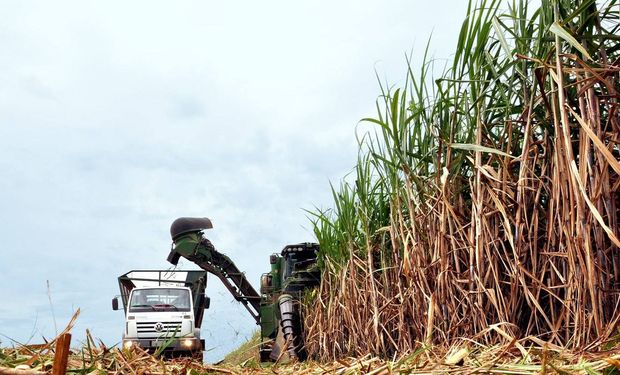Na Região Norte, a moagem permaneceu em 6,9 milhões de toneladas. Foto: Juliano Ribeiro