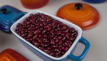 Clima e preços devem reduzir safra de feijão em 2025/26, aponta Cepea/CNA