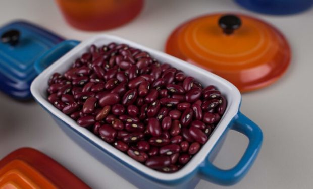 Clima e preços devem reduzir safra de feijão em 2025/26, aponta Cepea/CNA