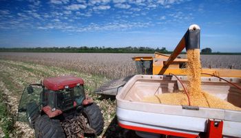 Safra de grãos 2025/26 deve alcançar 353,1 milhões de toneladas, diz Conab