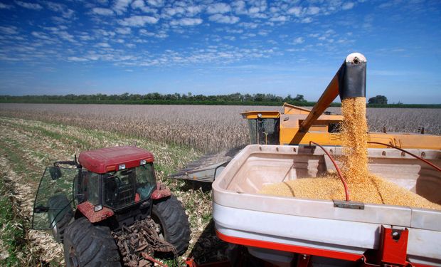 Safra de grãos 2025/26 deve alcançar 353,1 milhões de toneladas, diz Conab