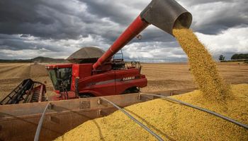 Conab reforça previsão de safra recorde de grãos em 2025/26: 353,4 milhões de toneladas