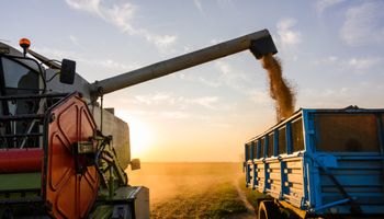 Safra de grãos 2025/26 deve atingir 354,8 milhões de toneladas, diz Conab