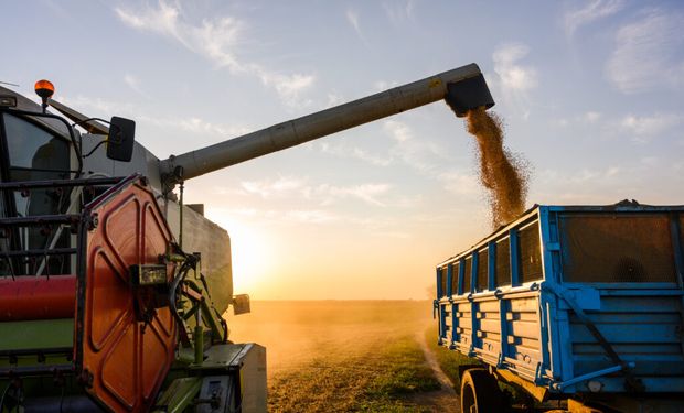 Para a soja, o levantamento indica aumento de 3,6% na área semeada