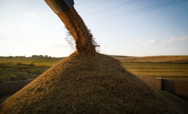 Produção de soja deve crescer 22,2% ou 27,9 milhões de toneladas acima da obtida na safra anterior. (foto - Sistema CNA/Senar)