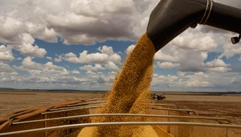 Recorde: safra brasileira de grãos deve alcançar 358 milhões de toneladas, diz Conab