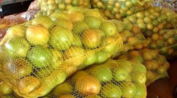 safra-laranja-2025-26-sp-mg-fundecitrus