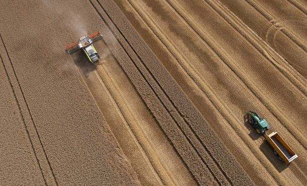 Conab estima produção de grãos em 269,3 milhões de toneladas