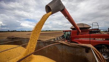 Agro bate recorde de receita com exportações no 1º semestre