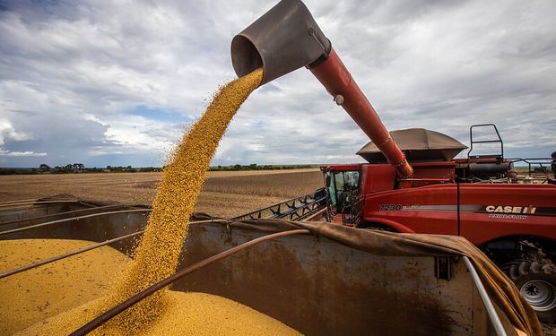 Preço da soja chegou a R$ 195,73/sc, na última sexta (dia 29). (Foto: CNA Brasil).