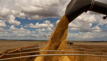 Safra de grãos pode bater 356,3 milhões de toneladas e renovar recorde