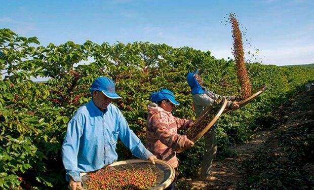 Projeto que mantém benefícios sociais a trabalhadores safristas avança na Câmara