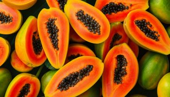 Sakata entra no mercado de mamão e testa novo modelo global no Brasil