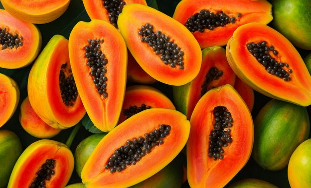 Sakata entra no mercado de mamão e testa novo modelo global no Brasil