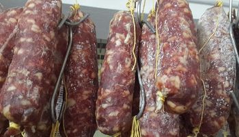 Córdoba reportó 12 casos de triquinosis y piden respetar los cuidados a la hora de consumir carne de cerdo