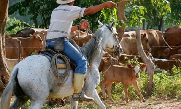 Cómo quedaron definidos los incrementos salariales para los trabajadores agrarios permanentes