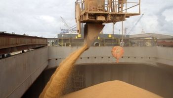 Excesos hídricos recortaron un 10% el saldo exportable de trigo