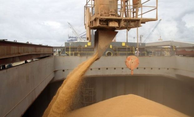 180 millones de dólares menos en trigo por excesos hídricos.