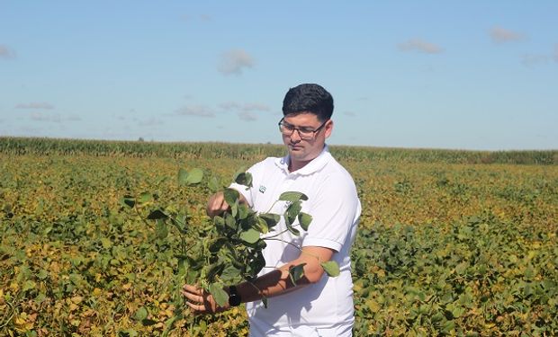 "No lo creíamos posible”: se le inundó el campo y lo recuperó con una innovadora técnica