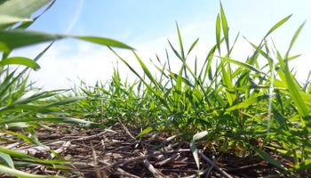 Salió el sol para las actividades agrícolas