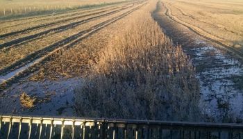 Salir a cosechar, a pesar del clima