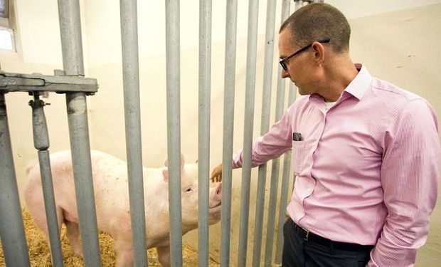 O sinal verde é um marco histórico já que traz a produção pecuária de alimentos para o campo da engenharia genética