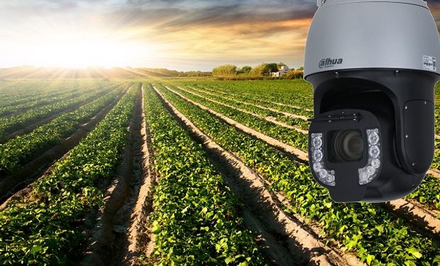 Contra el delito rural: las cámaras que cubren en tiempo real más de 2000 hectáreas