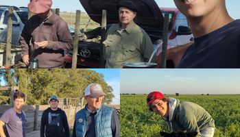 “Nadie se tiene que sentir obligado”: así se vive el recambio generacional en el campo, con el caso de un joven productor de Buenos Aires