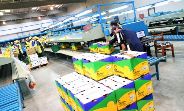 Acciones de San Miguel se hunden un 8,2% tras decisión de EEUU de trabar el ingreso de limones argentinos.